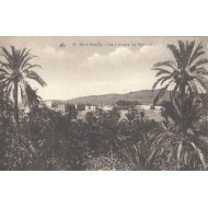 Bou Saada - Vue à Travers les Palmiers (Algerie) 